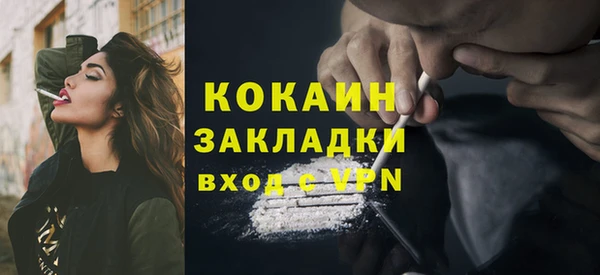 сатива Аркадак
