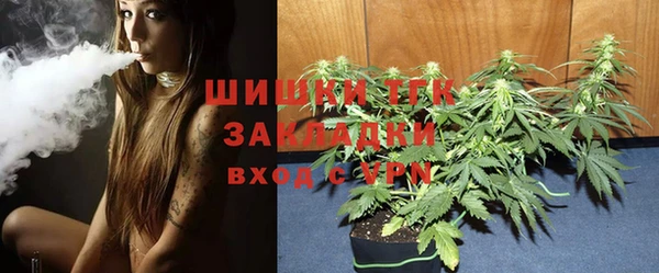 сатива Аркадак