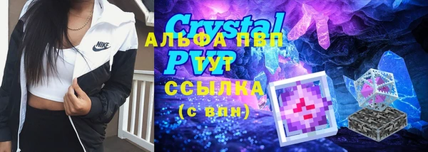 сатива Аркадак