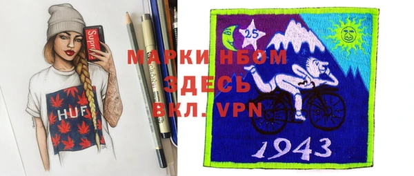 сатива Аркадак