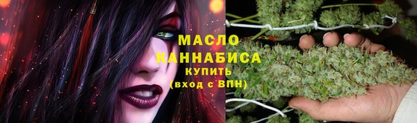 сатива Аркадак