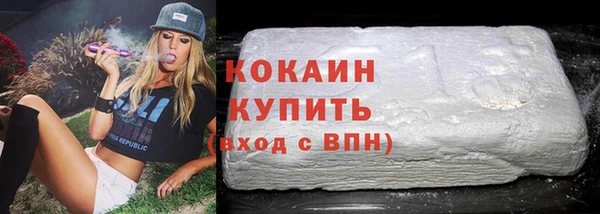 сатива Аркадак